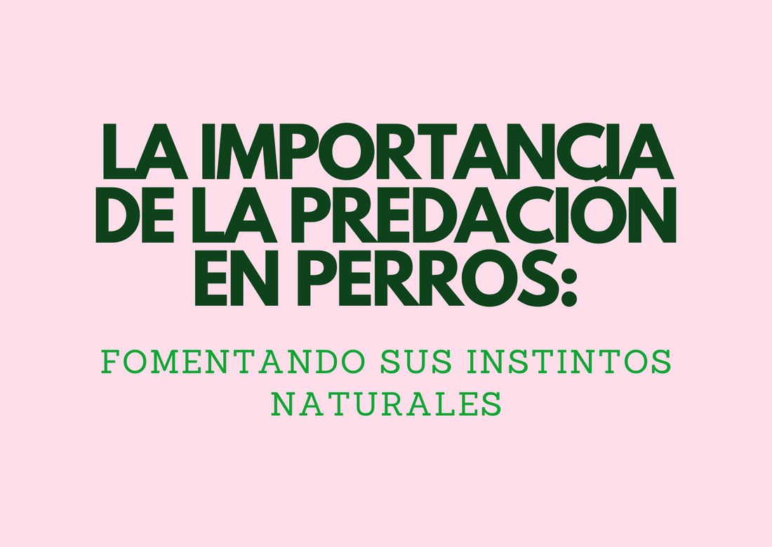 LA IMPORTANCIA DE LA PREDACIÓN EN PERROS: FOMENTANDO SUS INSTINTOS NATURALES