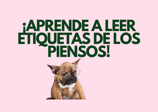 ¡APRENDE A LEER LAS ETIQUETAS DE LOS PIENSOS PARA PERROS Y GATOS!