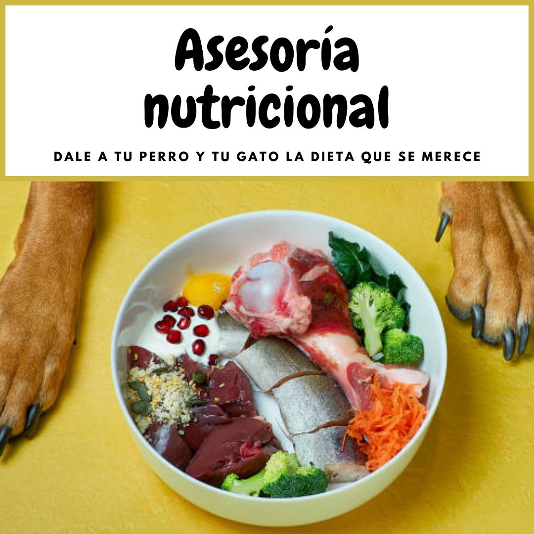 Asesoría nutricional