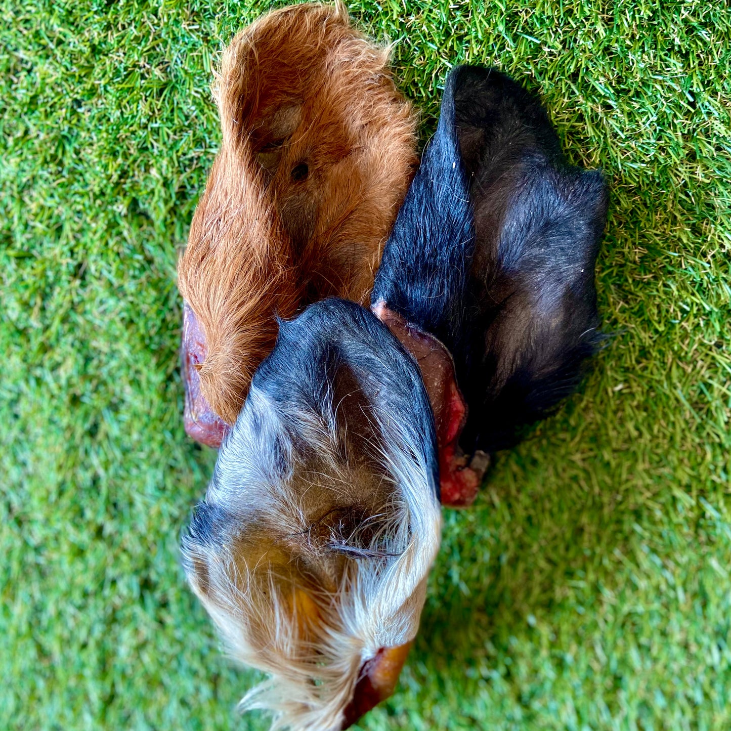 Oreja de ternera con pelo