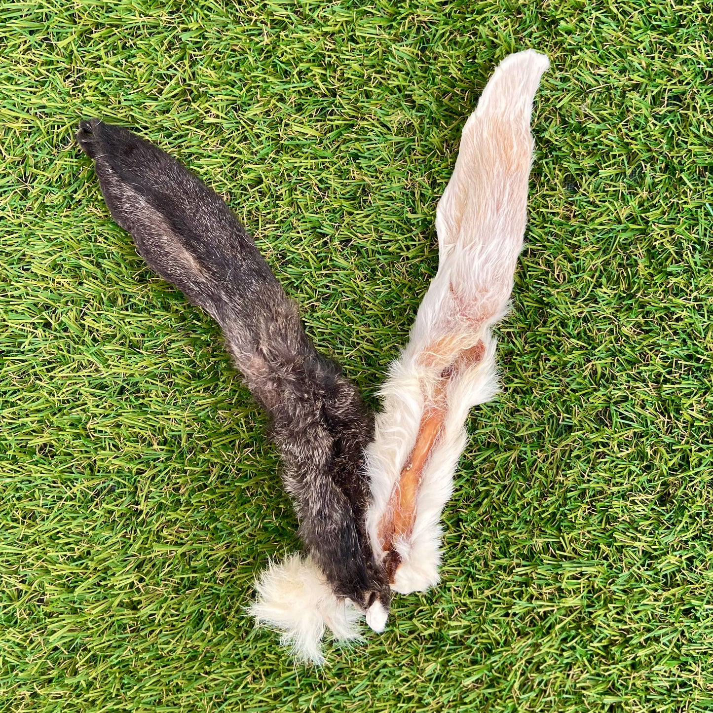 Orejas de Conejo con Pelo